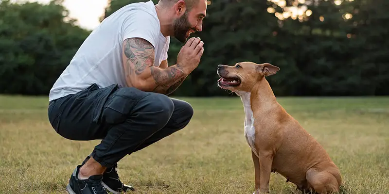 Formazione per cani e per operatori centro cinofilo Bau&Friends