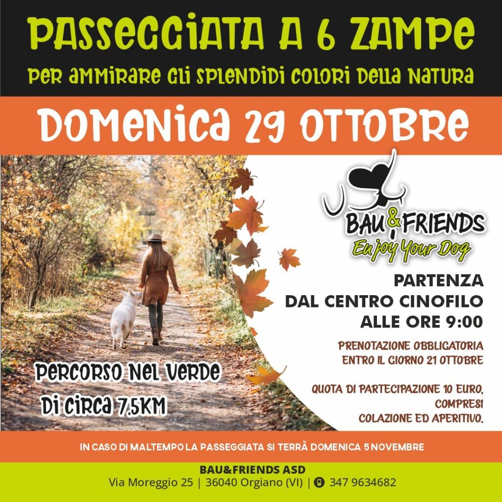 PASSEGGIATA A 6 ZAMPE CENTRO CINOFILO BAU&FRIENDS ORGIANO VICENZA